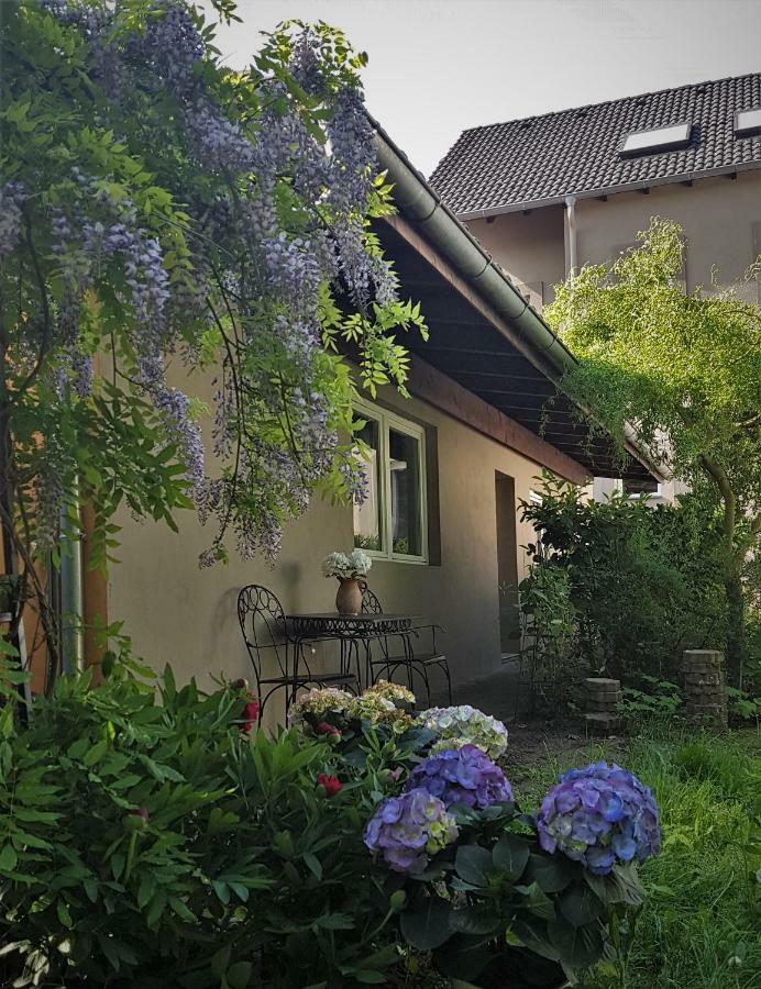 Kolev Apartment Kelsterbach